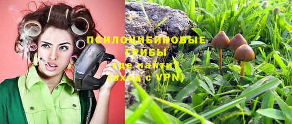 а пвп мука Арсеньев