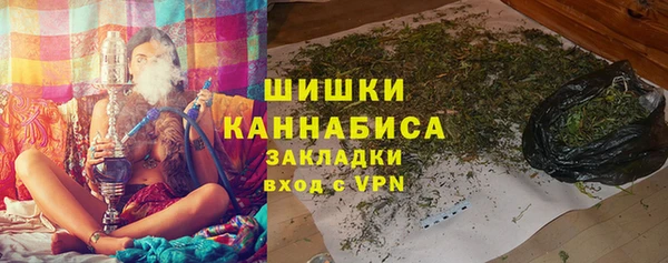 шишки Покачи
