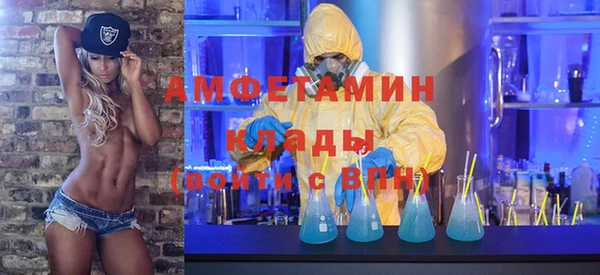 твердый Аркадак