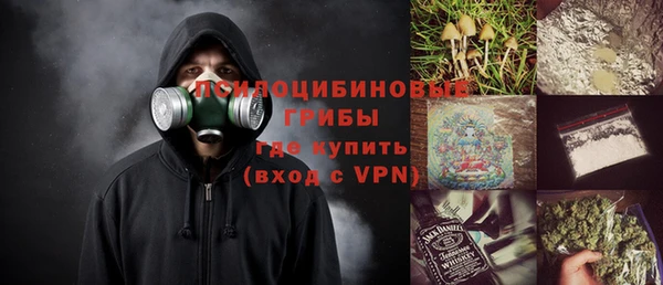 твердый Аркадак