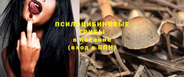 твердый Аркадак